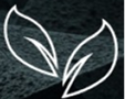 Startup Logo
